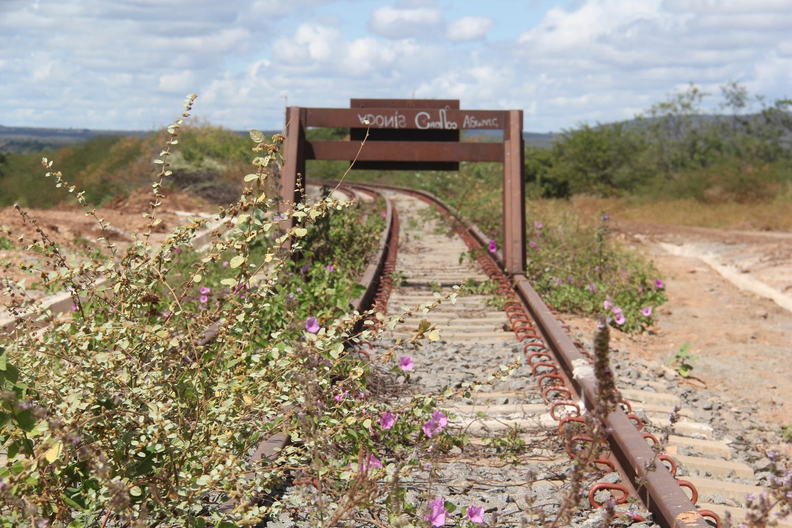 transnordestina, suape