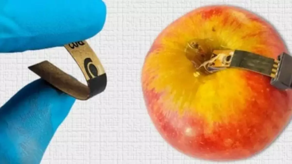 cientistas sensor agrotóxico inovação tecnologia USP