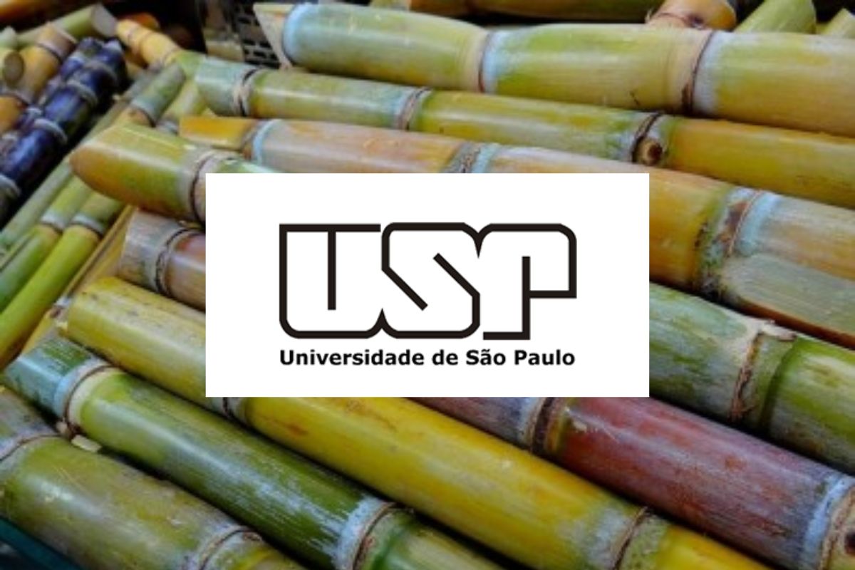 pesquisadores etanol economia empregos inovação biocombustíveis