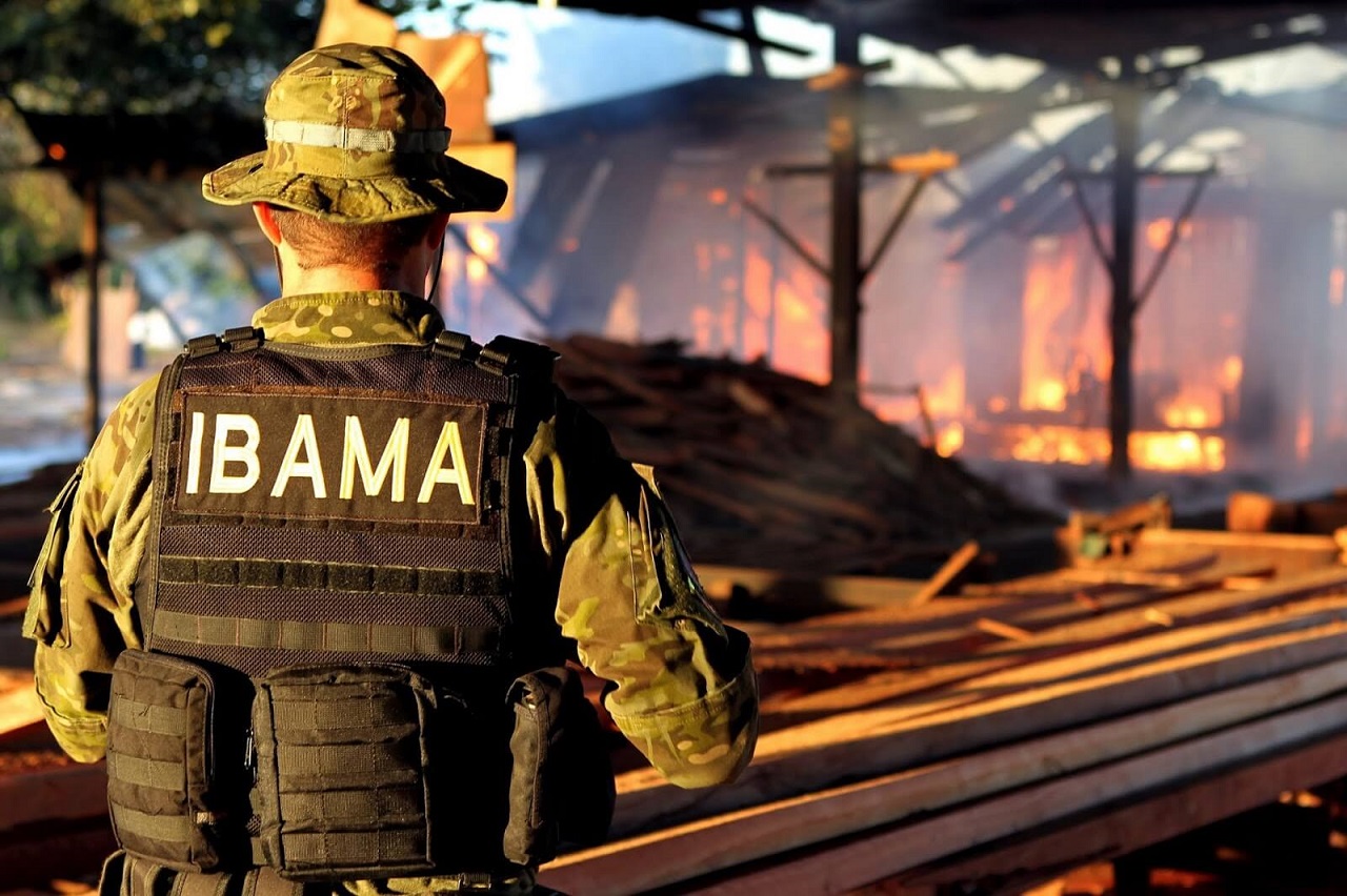 Ibama lança novo edital de concurso público com mais de 1.000 vagas para candidatos de nível médio em todo o país