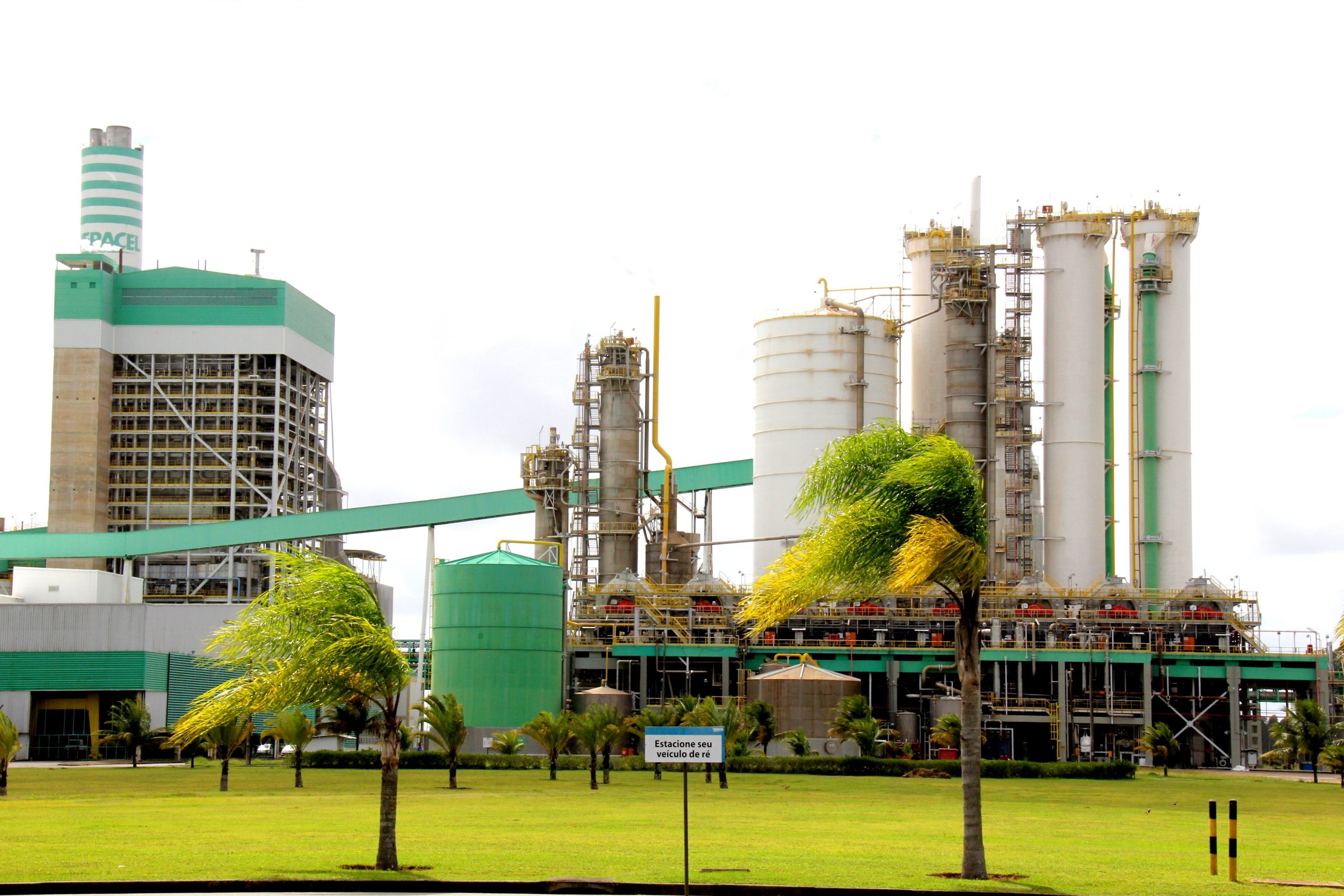 Indústria de celulose Veracel oferece vagas de emprego e estágio na Bahia