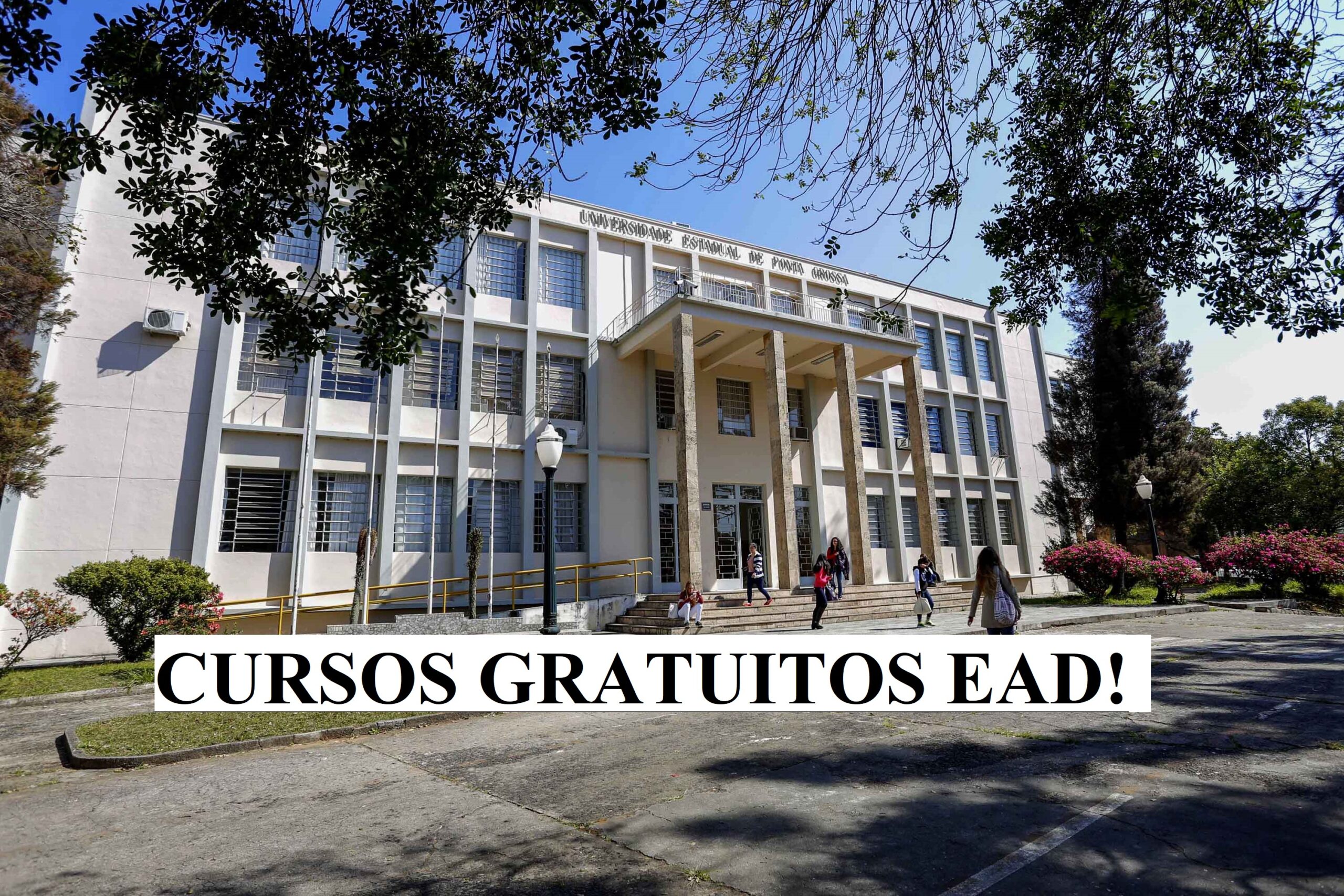 cursos gratuitos, EAD, universidades, vestibular