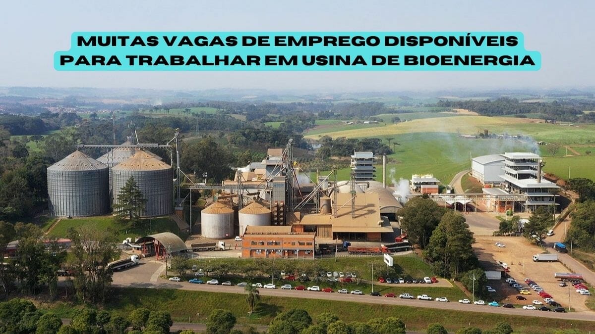 As vagas de emprego ofertadas pela usina Goiás Bioenergia são para trabalhadores de todos os níveis de escolaridade com experiência anterior no cargo escolhido.