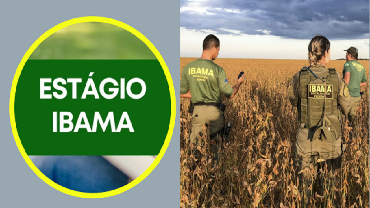 IBAMA abre processo seletivo com vagas sem experiência destinadas a estudantes de níveis médio, técnico e superior