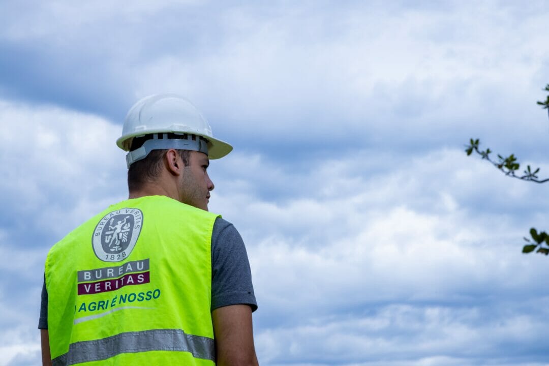 Bureau Veritas bate recorde e inspeciona mais da metade da supersafra de soja exportada pelo Brasil