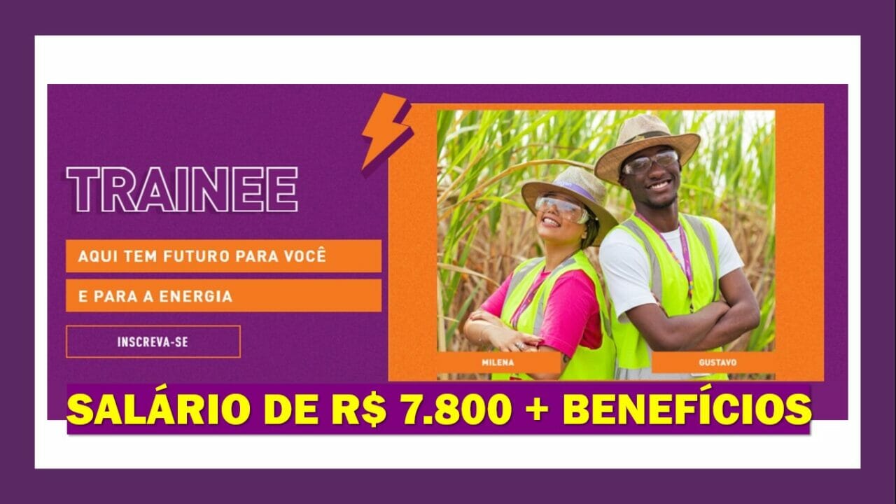 Raízen - programa de trainee