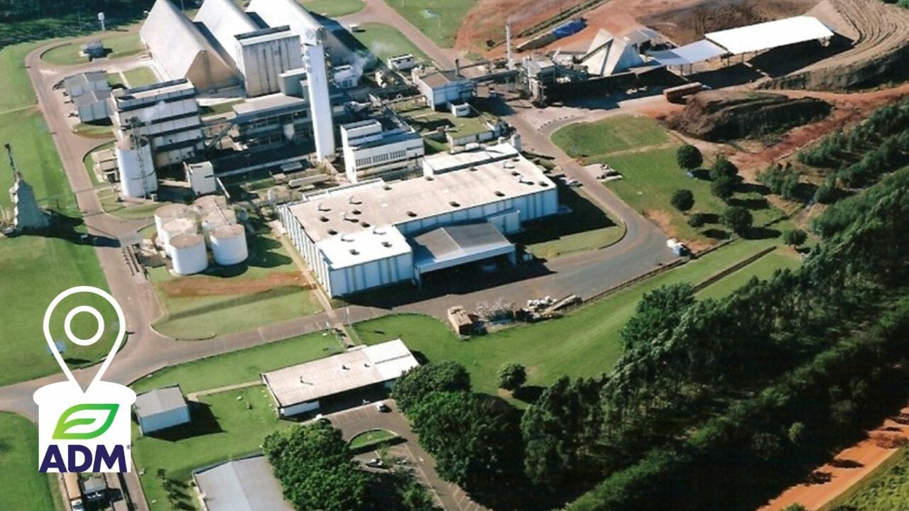 ADM do Basil: LÍDER GLOBAL em fabricação de alimentos e bebidas, abre vagas para estágio no Brasil, oportunidades híbridas com salários acima de R$1300 reais