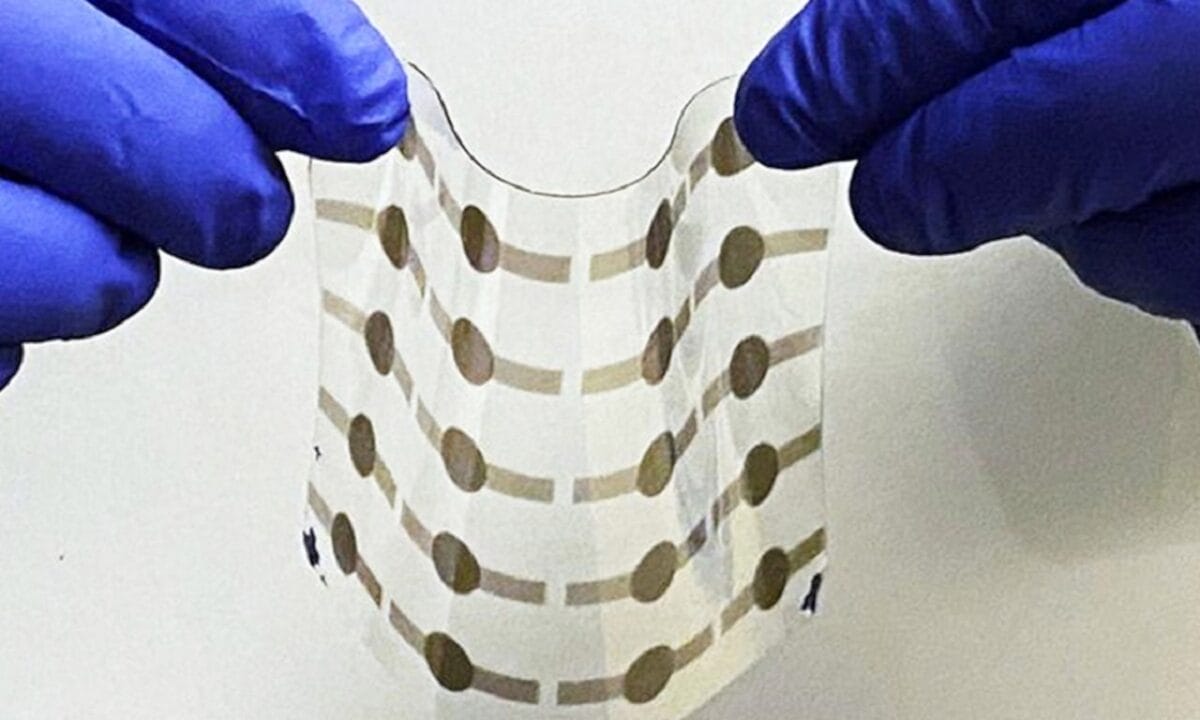 Cientistas criam músculos artificiais de celulose que podem levantar carros e motos 