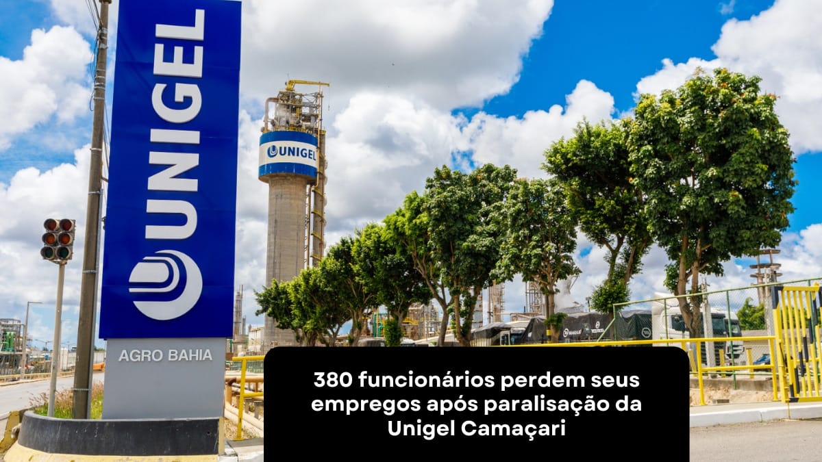 Segundo o sindicato, muitos dos trabalhadores são especializados e investiram em sua formação profissional, contando com a expectativa de emprego na Unigel Camaçari, tornando a demissão em massa ainda mais preocupante.