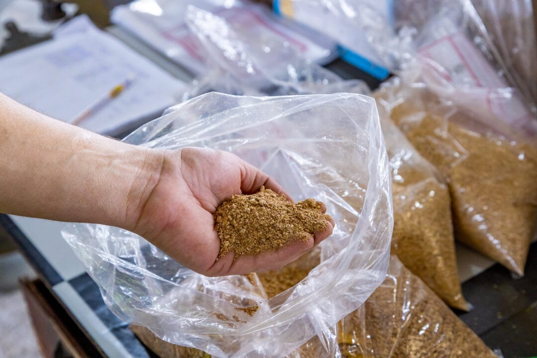 BUREAU VERITAS AUDITA PROGRAMA PIONEIRO DA BAYER DE MENSURAÇÃO DE PEGADA DE CARBONO NA PRODUÇÃO DE SOJA