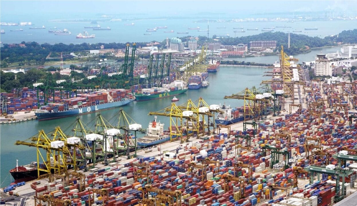 porto, leilões, investimento