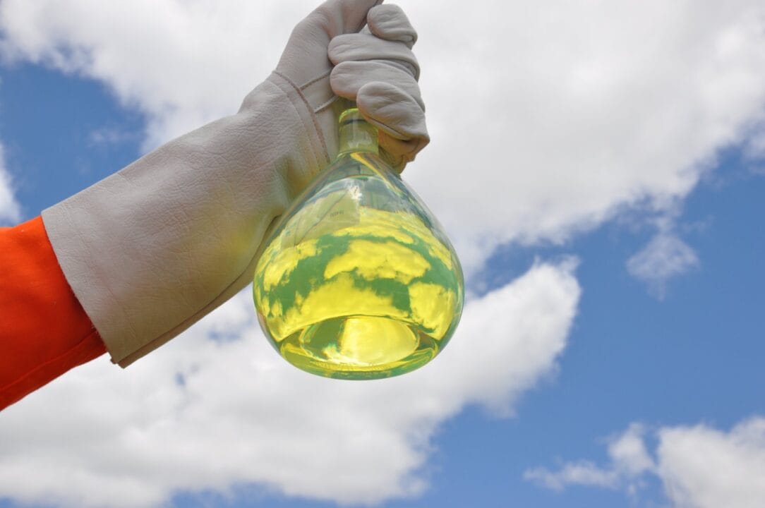 sociedade, aliança, colaboração