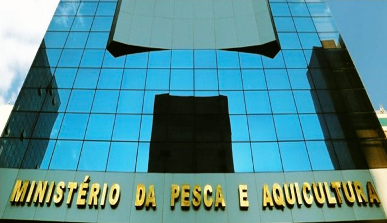 concurso, vagas, concurso público