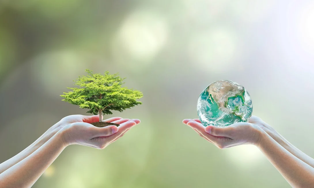 81% dos brasileiros adotam hábitos sustentáveis