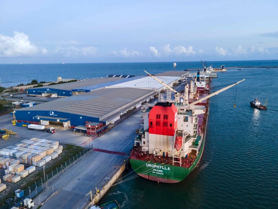 Portocel teve desempenho histórico