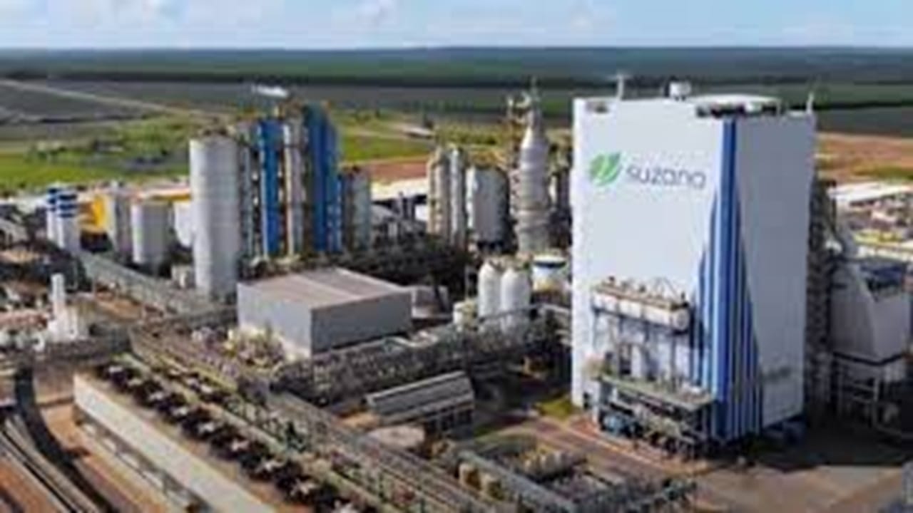 emprego, vagas, suzano, celulose