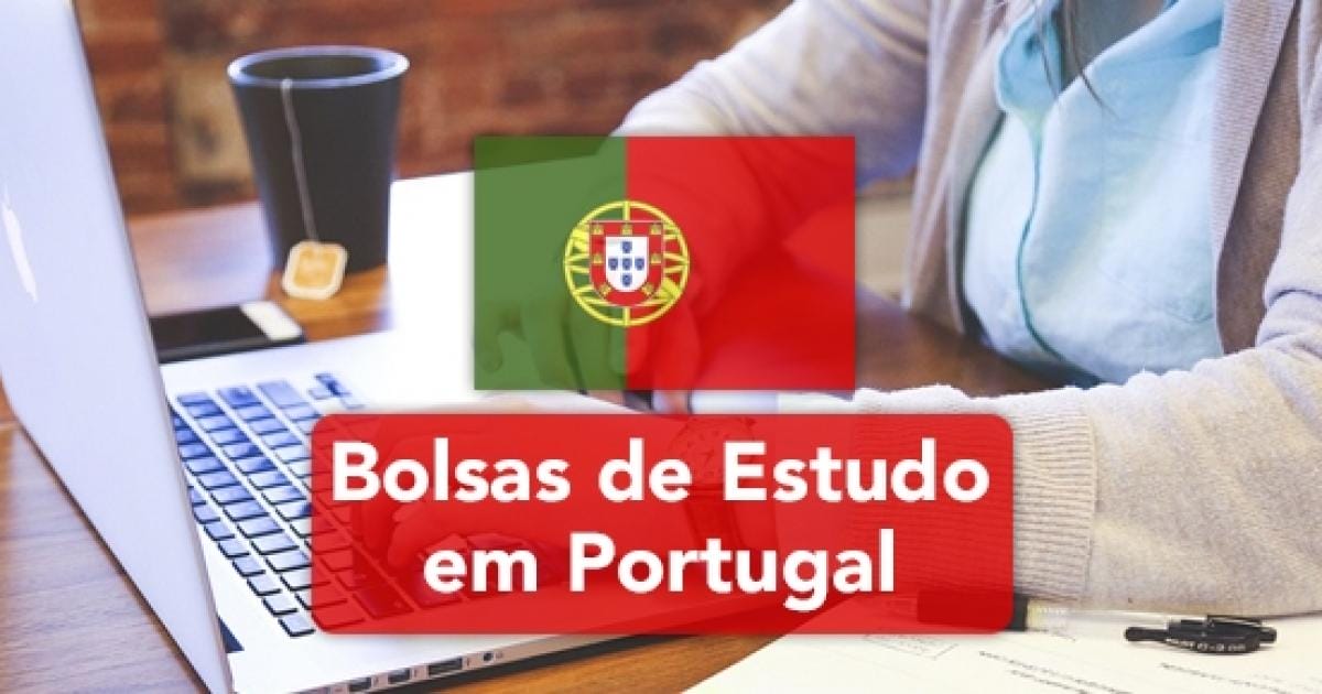 Universidade oferece bolsas de estudo para brasileiros; veja quem pode se inscrever. (Imagem: reprodução)