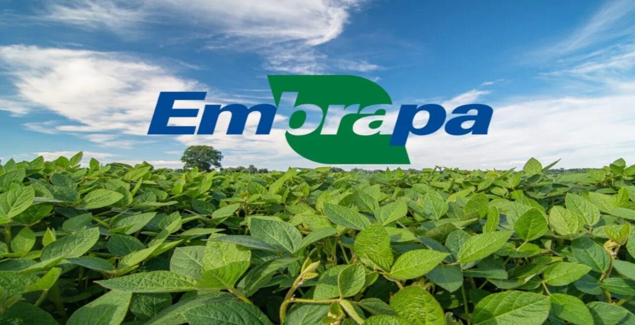 concurso, nível médio, Embrapa