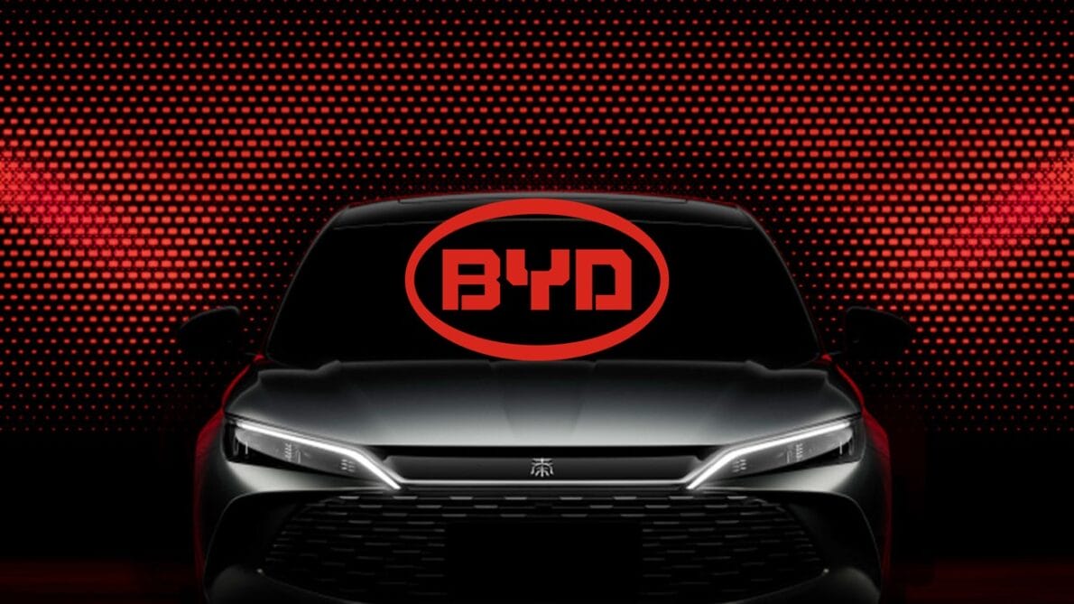 BYD - King