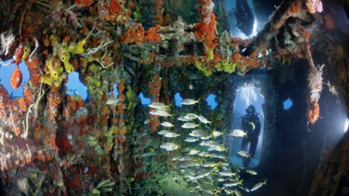 ¡La Intentión Era Buena! Nueva York TIRÓ Más De 2.500 Vagones De Metro En El Fondo Del Océano Atlántico 