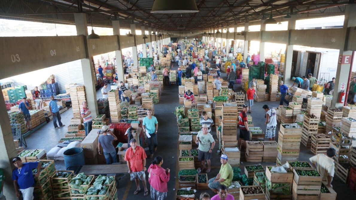ceasa - proceso seletivo - concurso público