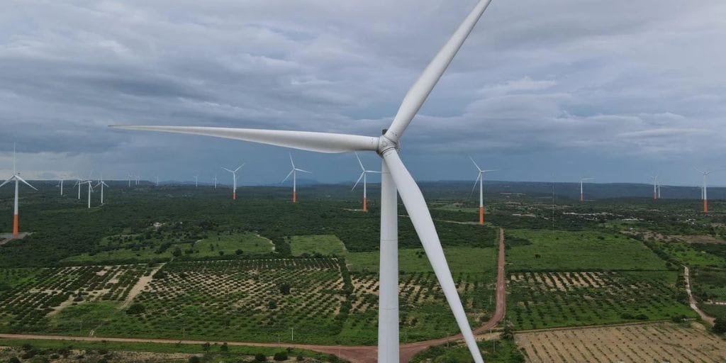 Parque eólico . (Imagem: reprodução)