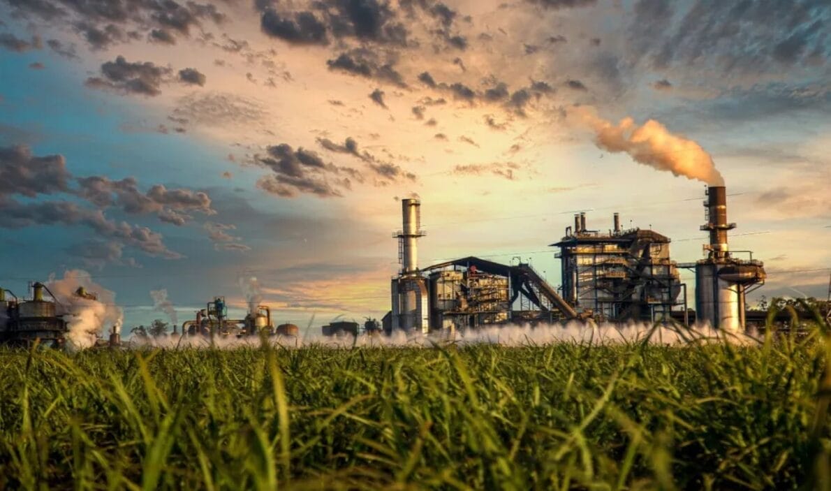 cana-de-açúcar, energia, energia elétrica