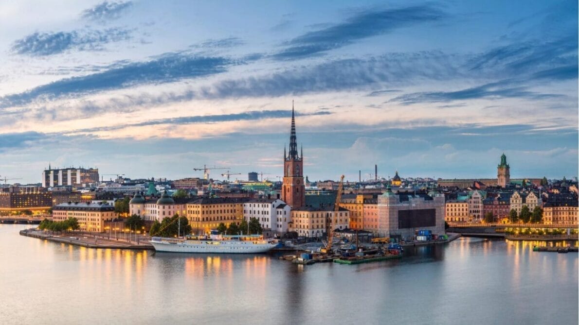 “chip cerebral”, “neuralink”, “Precision Neuroscience”, “elon musk”, “chips”