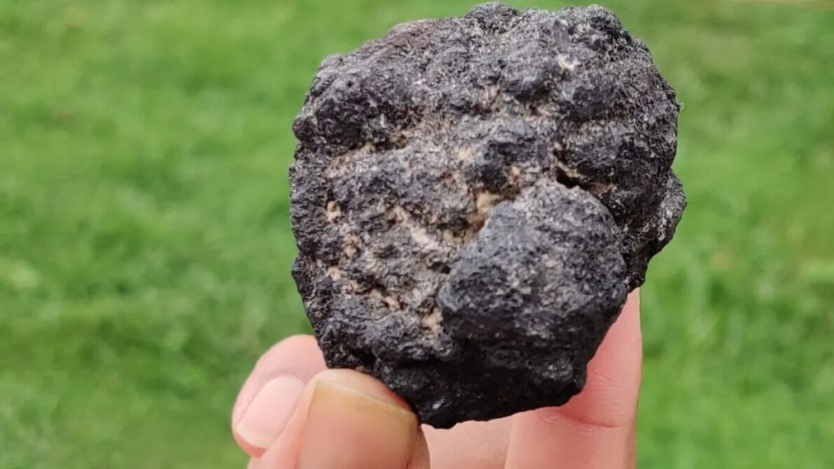 “mar”, “oxígeno”, “tecnología”, “ciencia”, “fondo del océano”