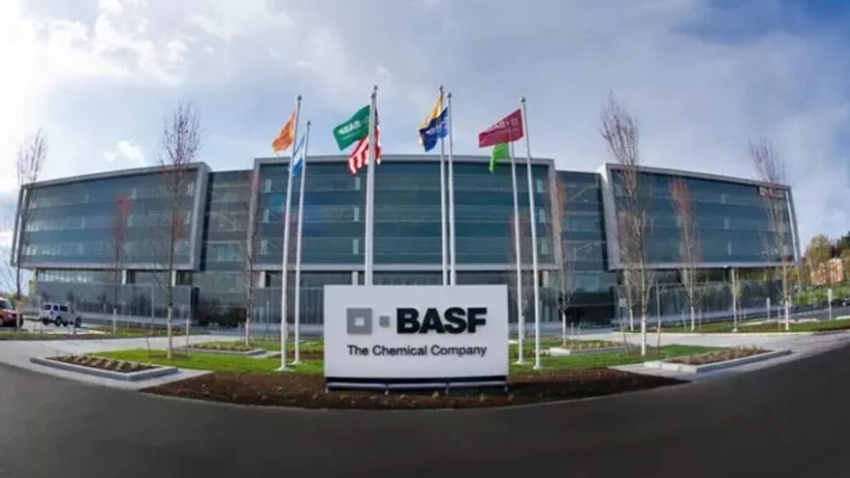 “basf”, “processo seletivo”, “estágio”, “vagas abertas”
