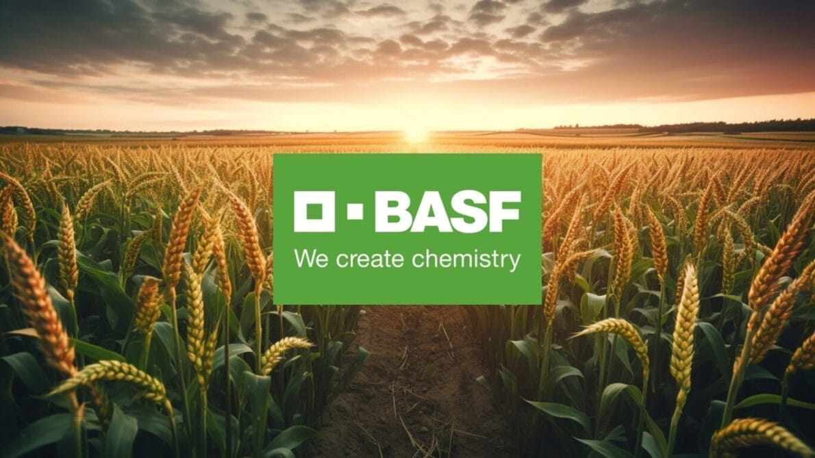 “basf”, “proceso seletivo”, “práctica”, “vacantes abiertas”