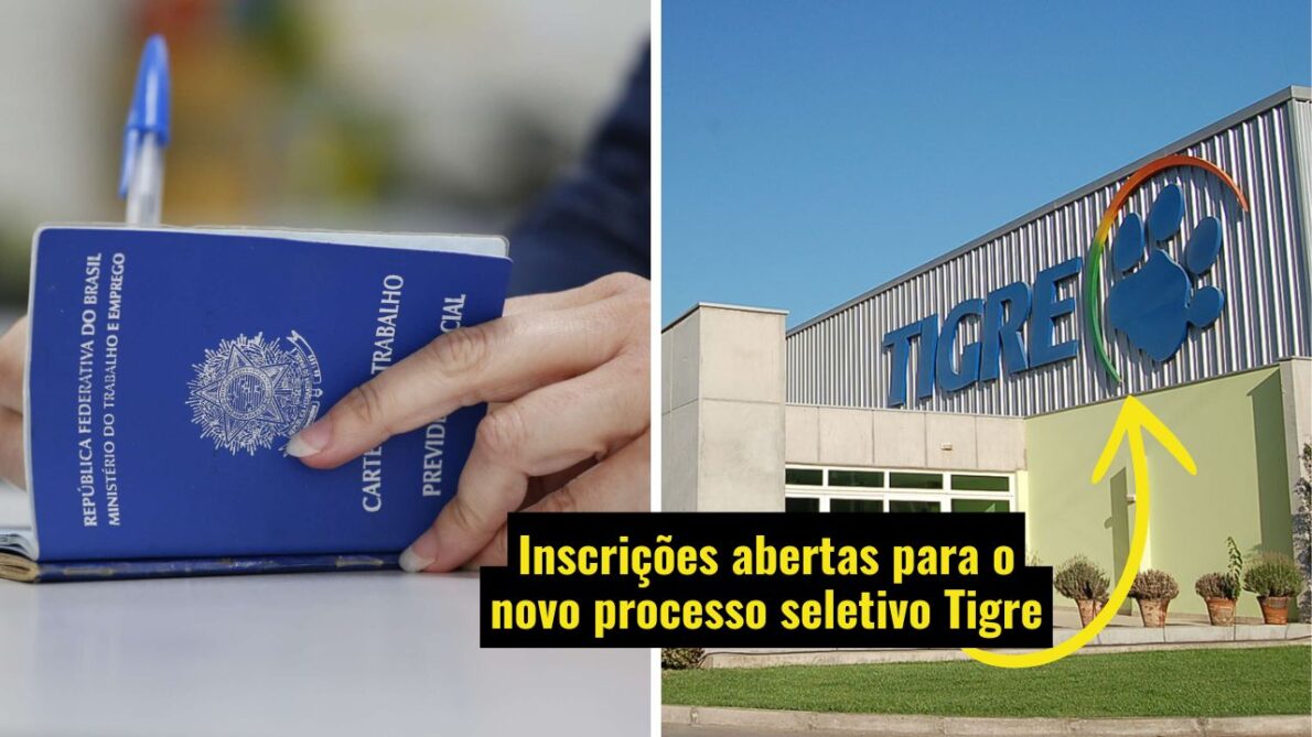 O novo processo seletivo Tigre está oferecendo vagas em várias regiões do Brasil, com oportunidades imperdíveis para quem busca uma carreira de sucesso na multinacional