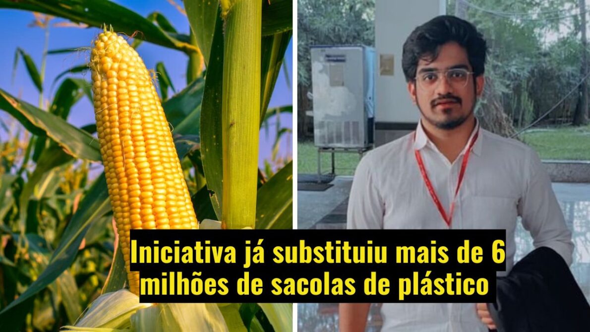 Startup substitui plástico por sacolas feitas com resíduos de milho; alternativa sustentável se decompõe em 180 dias