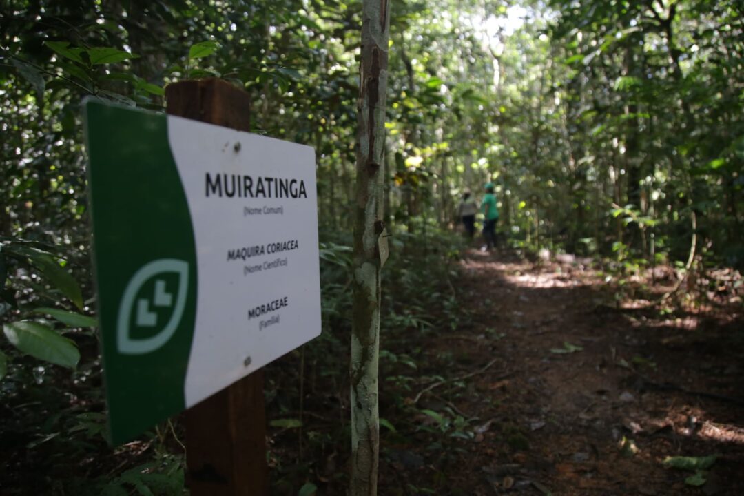 certificação, reconhecimento, premiação