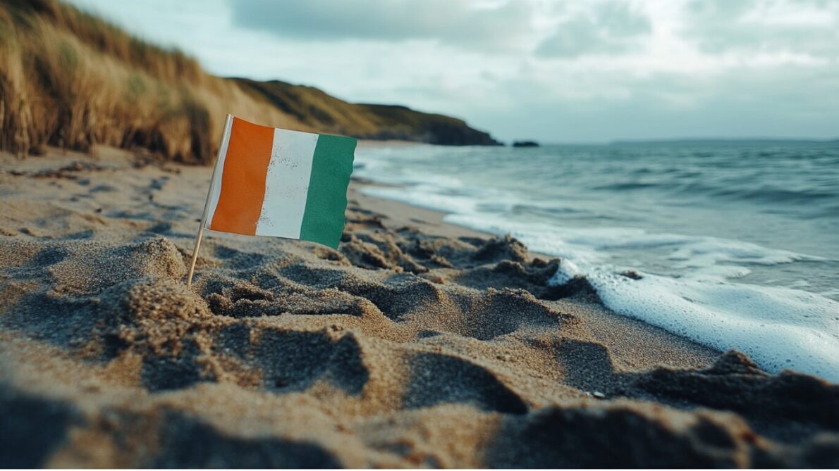 “empleo en irlanda”, “trabajo en irlanda”, “vacantes de empleo”, “vacantes en irlanda”