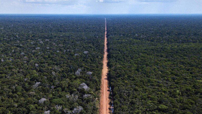 La Pavimentación de la BR-319 Amenaza la Amazonía y el Clima de Brasil. Investigadores Alertan sobre Deforestación, Pérdida de Lluvias e Impacto en Comunidades Indígenas. (Foto: Divulgación/ DNIT) La Pavimentación de la BR-319 Amenaza la Amazonía y el Clima de Brasil. Investigadores Alertan sobre Deforestación, Pérdida de Lluvias e Impacto en Comunidades Indígenas. (Foto: Divulgación/ DNIT)