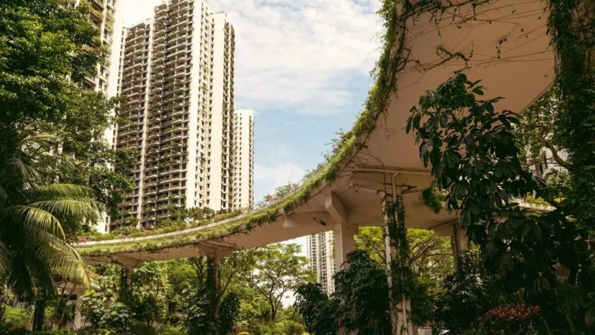 “china, “global”, “malasia”, “construcción”