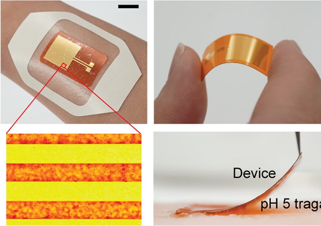 Infecciones bacterianas, medicamentos