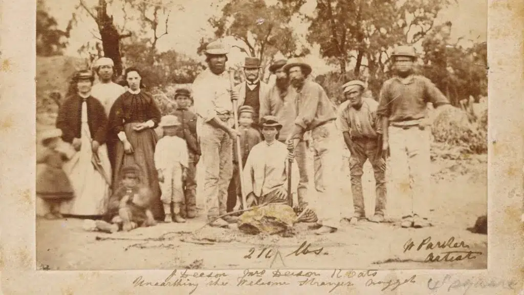 pepita, pepita de oro