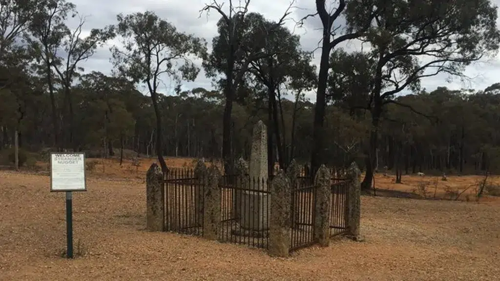 pepita, pepita de oro