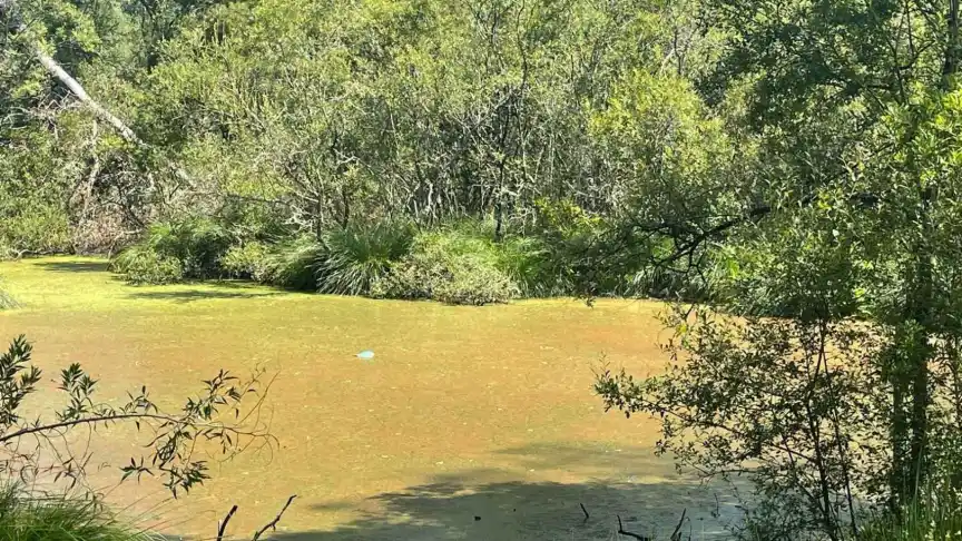 Mina de Oro, Oro, Imperio Romano