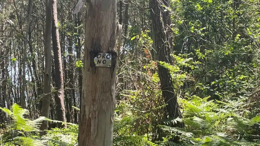 Mina de Oro, Oro, Imperio Romano