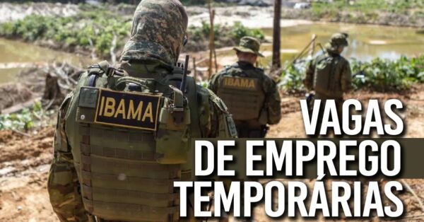 IBAMA abre processo seletivo com 75 vagas para quem possui alfabetização ou ensino médio com remuneração de até R$ 3.300