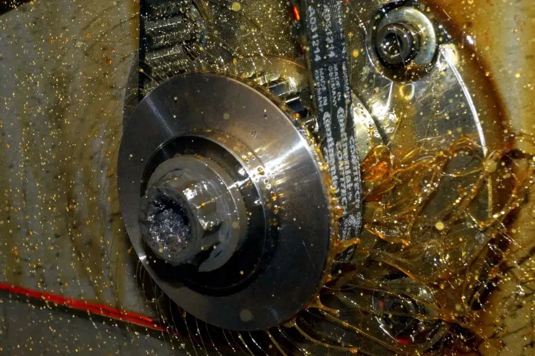 correa de dentado bañada en aceite