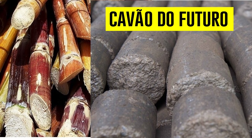 carvão