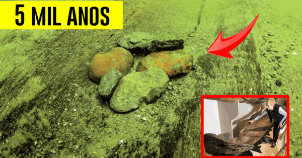 Arqueólogos, Estados Unidos