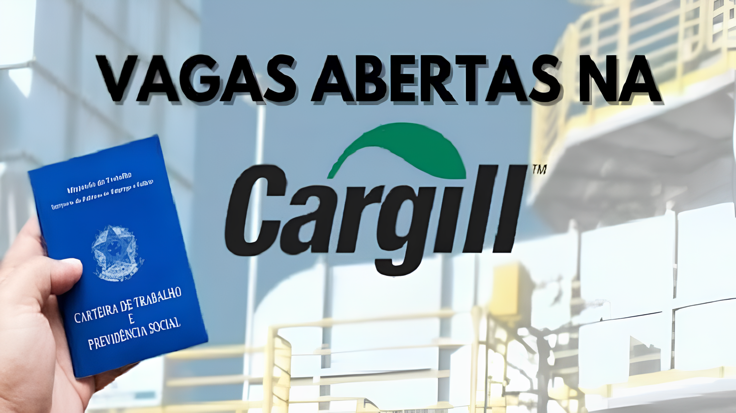 Cargill está contratando! Processo seletivo oferece 74 oportunidades de emprego para candidatos com ensino médio, técnico e superior