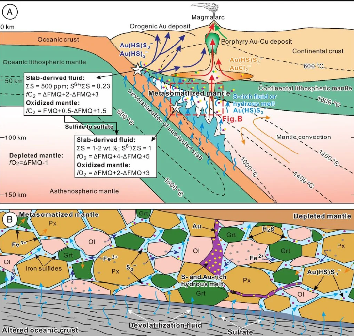 Esta imagen muestra cómo el oro es transportado del manto terrestre hasta la superficie en zonas de subducción, donde placas tectónicas colisionan y generan magma. El proceso ocurre con la ayuda de fluidos ricos en azufre, que transportan el oro en su composición a través de las capas de la Tierra.