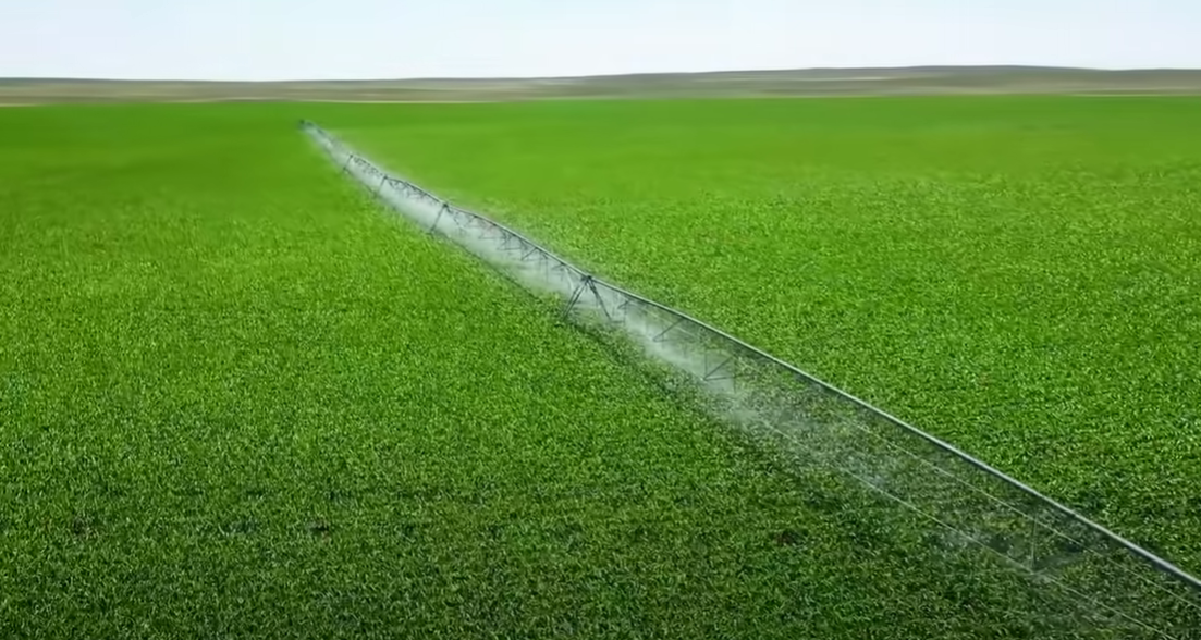 El mayor sistema de irrigación del mundo, en Nebraska, utiliza pivotes centrales que giran en torno a un punto fijo, distribuyendo agua de forma uniforme sobre grandes áreas agrícolas. Se abastece principalmente del acuífero Ogallala y ríos locales, combinando tecnologías avanzadas, como sensores y automatización, para garantizar eficiencia y sostenibilidad.
