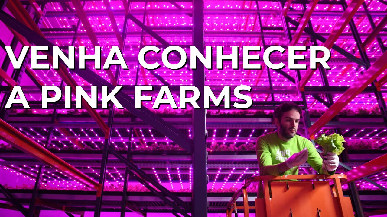 A Pink Farms, maior fazenda vertical da América Latina, usa tecnologia e ciência para produzir alimentos frescos em São Paulo.